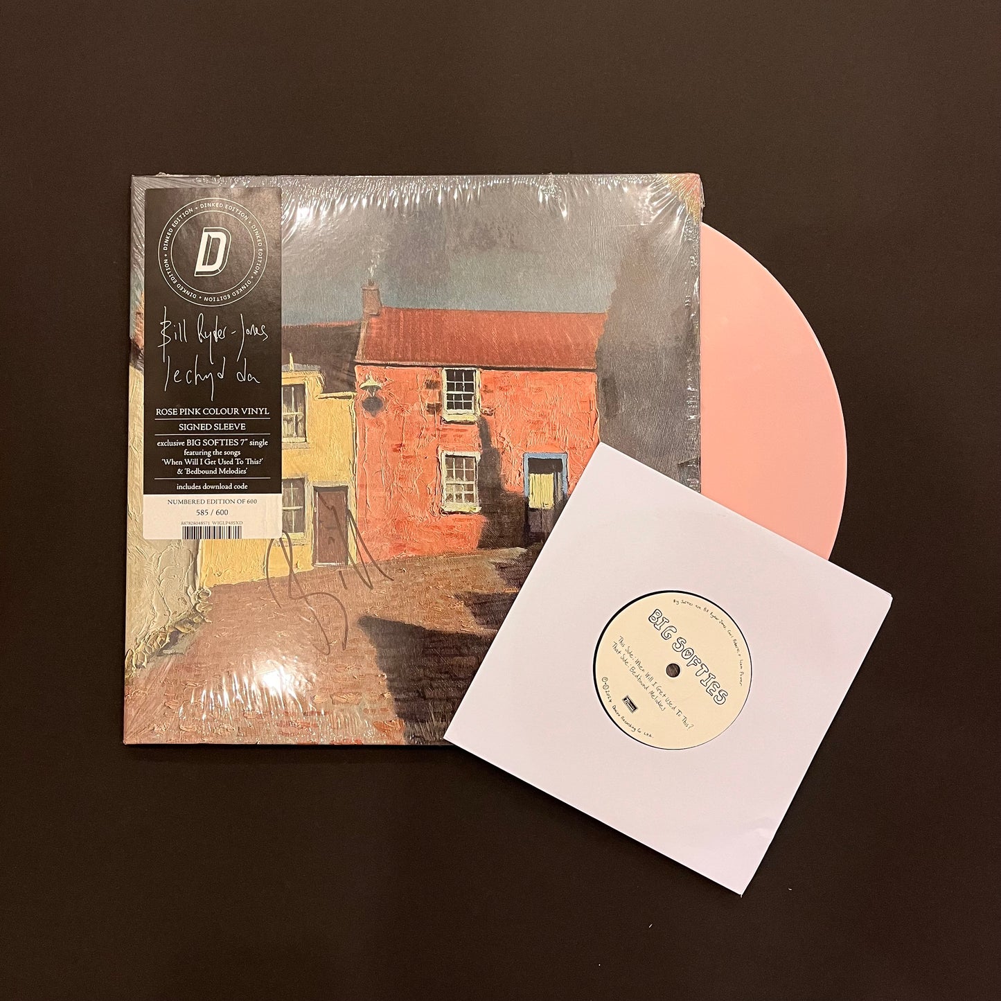 Bill Ryder-Jones – Iechyd Da LP (*USED*)