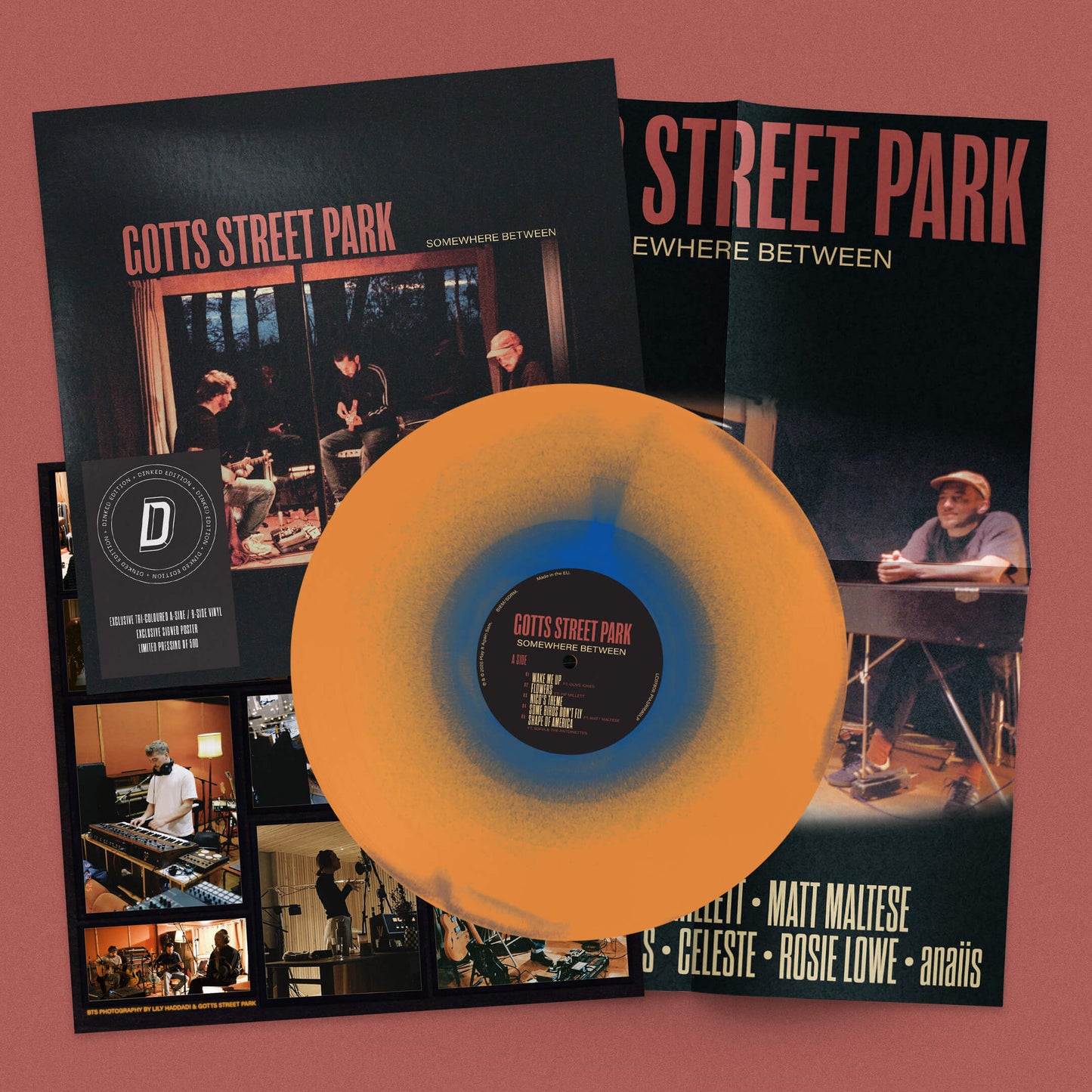 Gotts Street Park 'Somewhere Between' LP