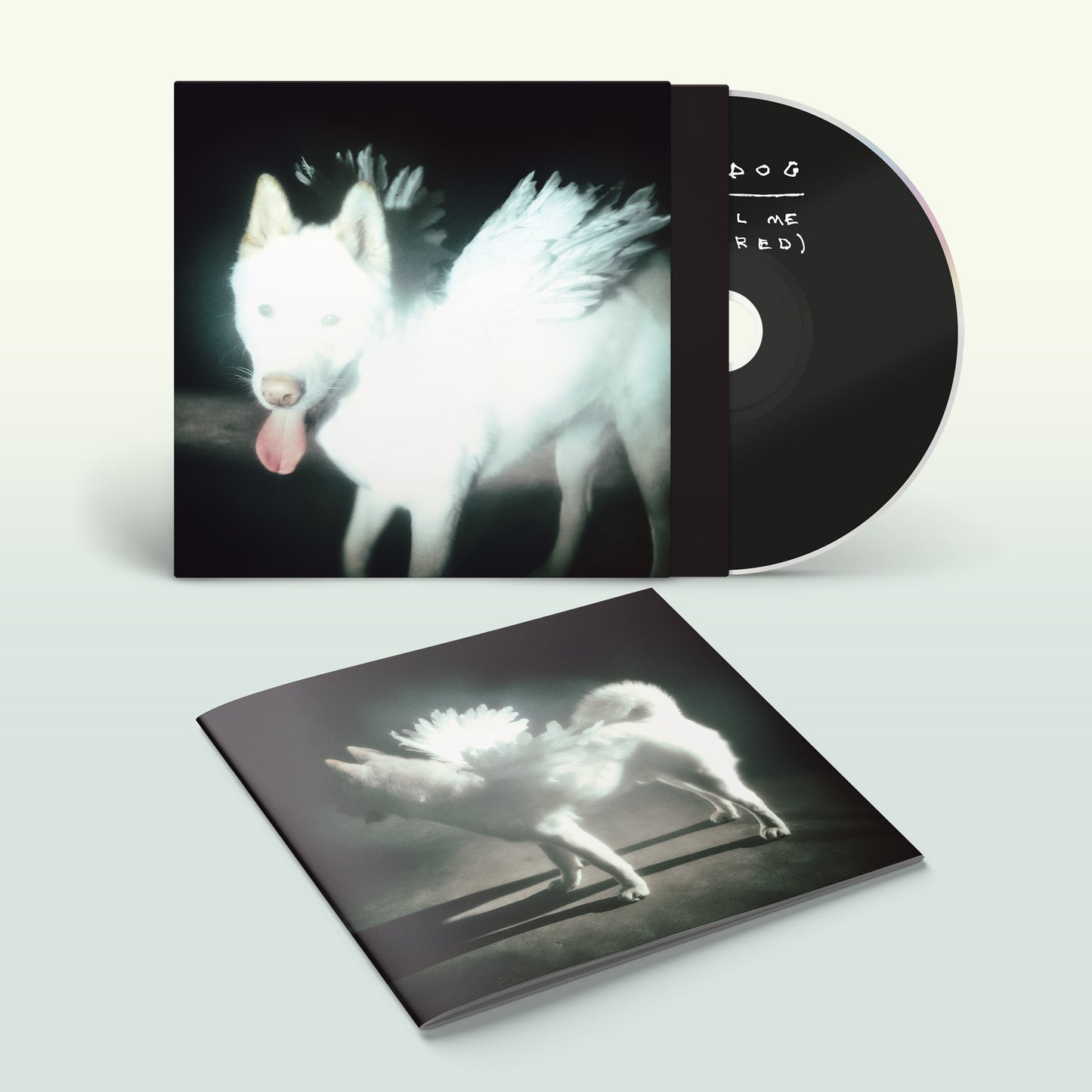 Fat Dog 'Cancel Me (I'm Tired)' LP