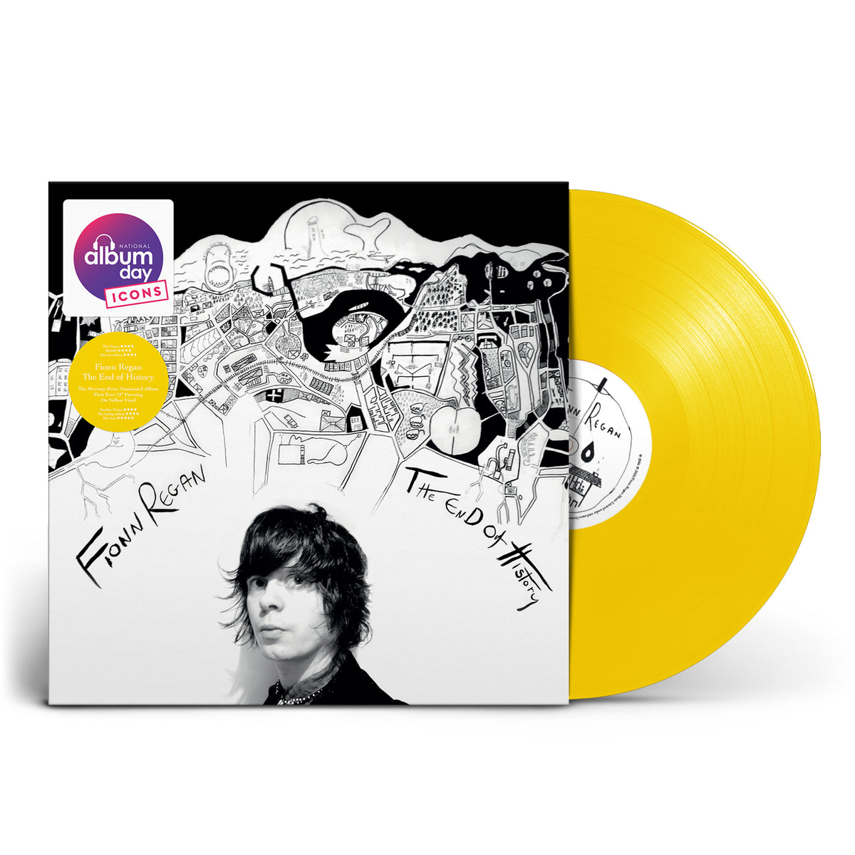 Fionn Regan - The End of History LP