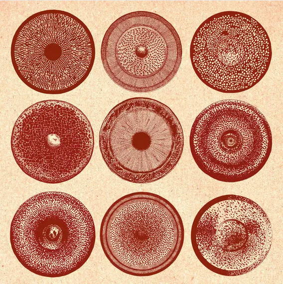 Ensemble Nist-Nah 'Spilla' LP