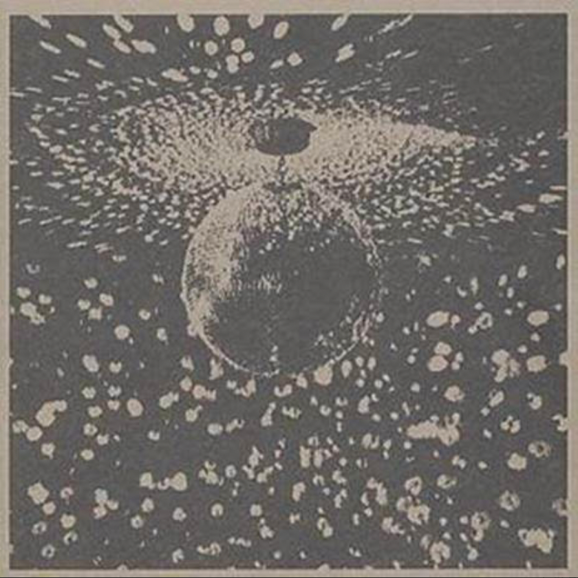 Neil Young 'Mirror Ball' 2xLP