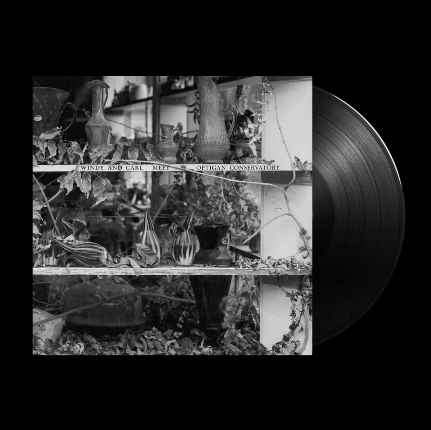 Windy and Carl with Optigan Conservatory 'Windy and Carl meet Optigan Conservatory' LP