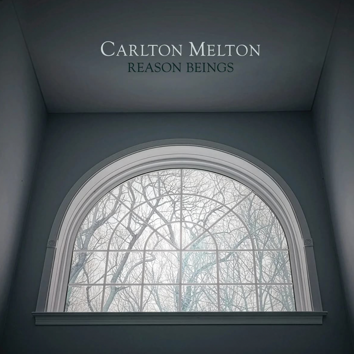 Carlton Melton 'Reason Beings' LP