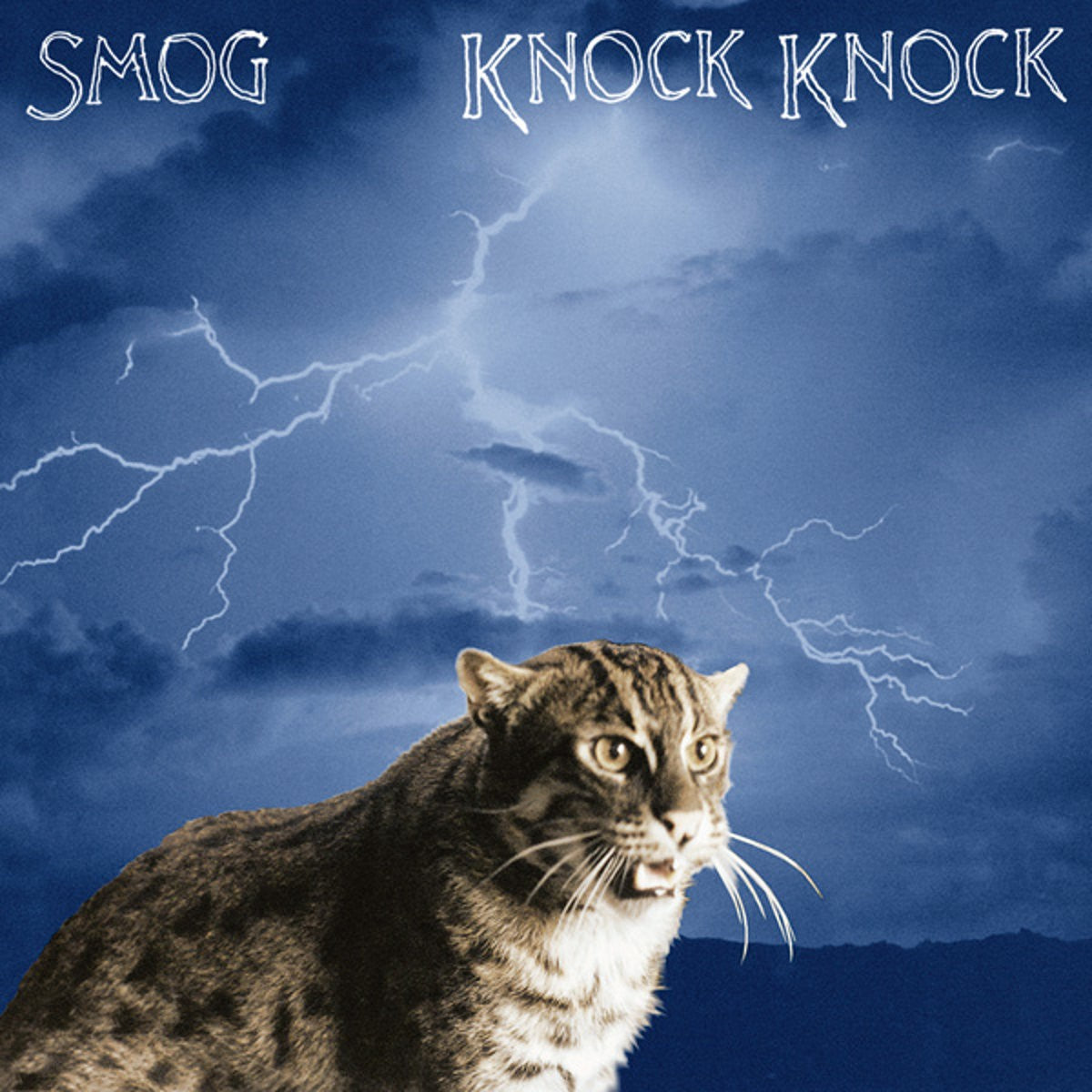 Smog 'Knock Knock' LP