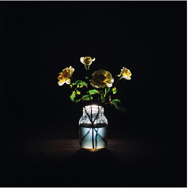 Billy Strings 'Renewal' 2xLP