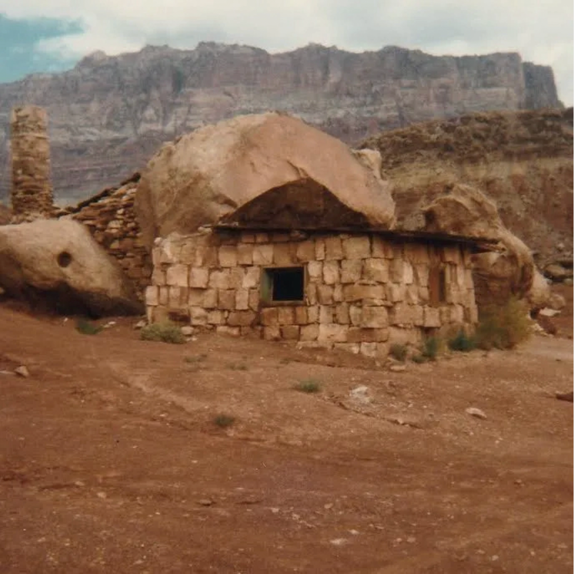 Josephine Foster 'Domestic Sphere' LP