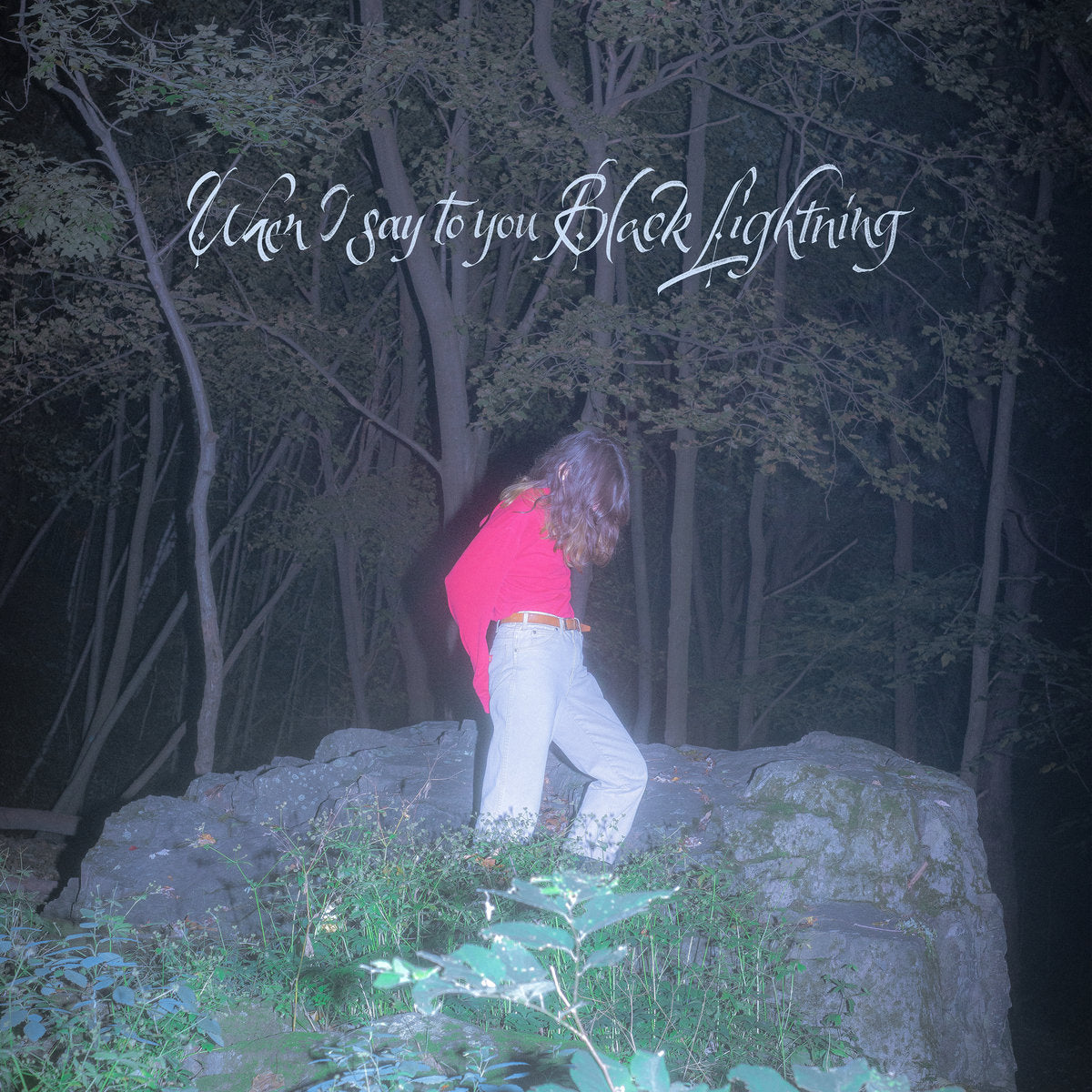 Common Holly 'When I say to you Black Lightning' LP