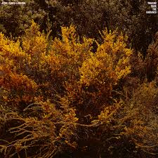 Jefre Cantu-Ledesma 'Tracing Back The Radiance
' LP