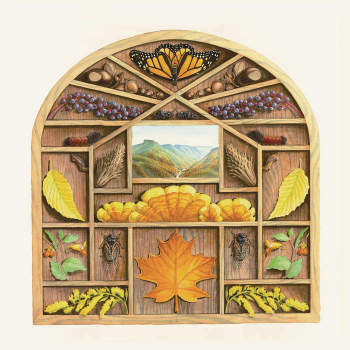 Sarah Louise 'Field Guide' LP