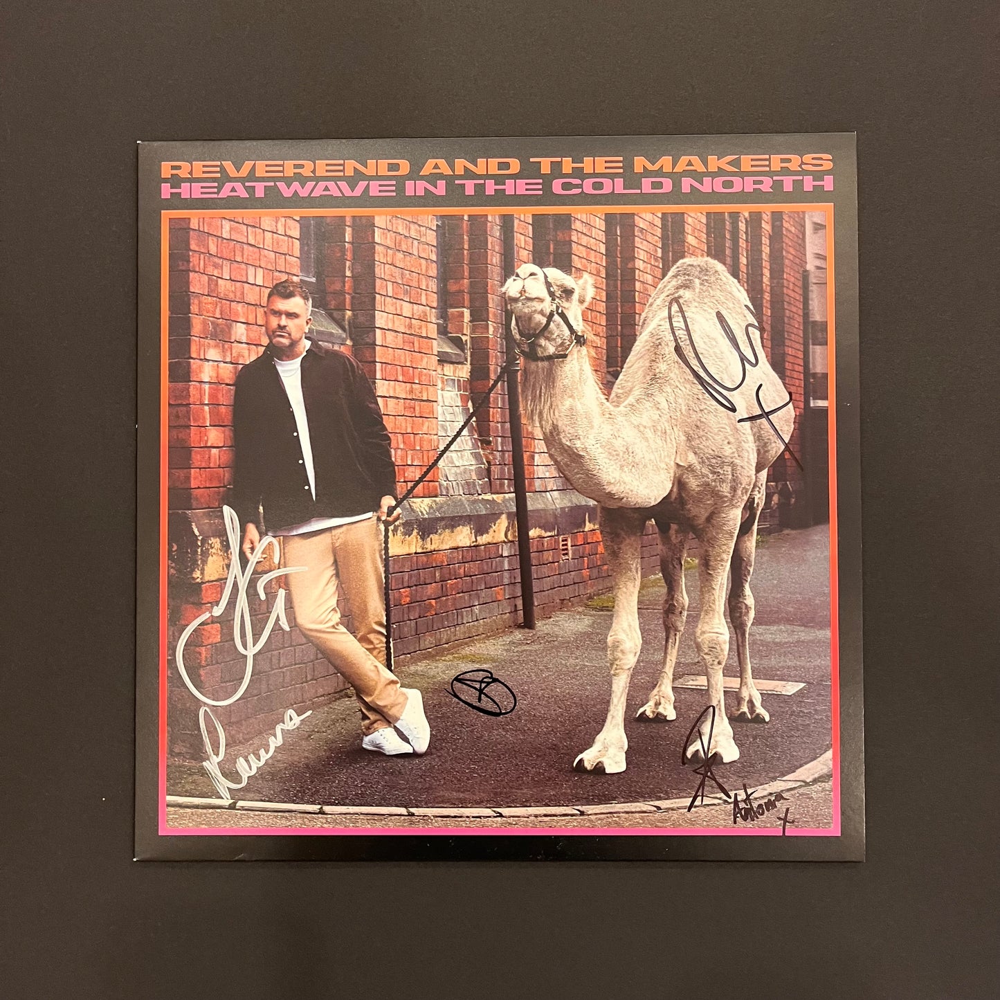 Reverend and The Makers 'Heatwave In The Cold North' LP (*USED*)