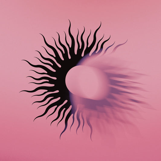 AFI  'Silver Bleeds the Black Sun...'