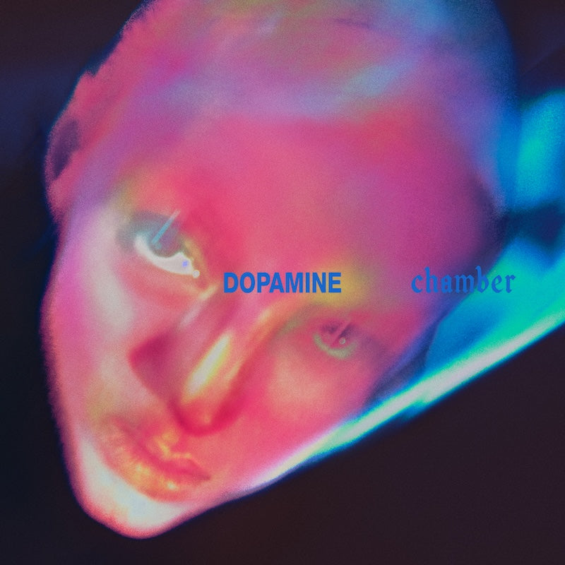 Fontaines D.C. 'Dopamine Chamber'