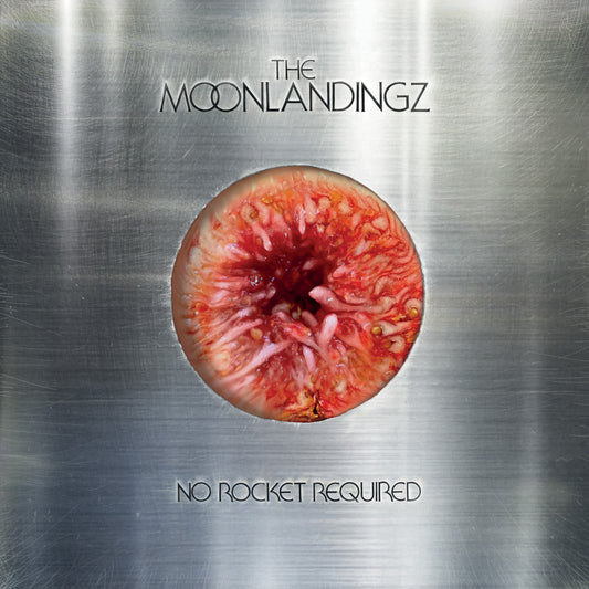 The Moonlandingz 'No Rocket Required'