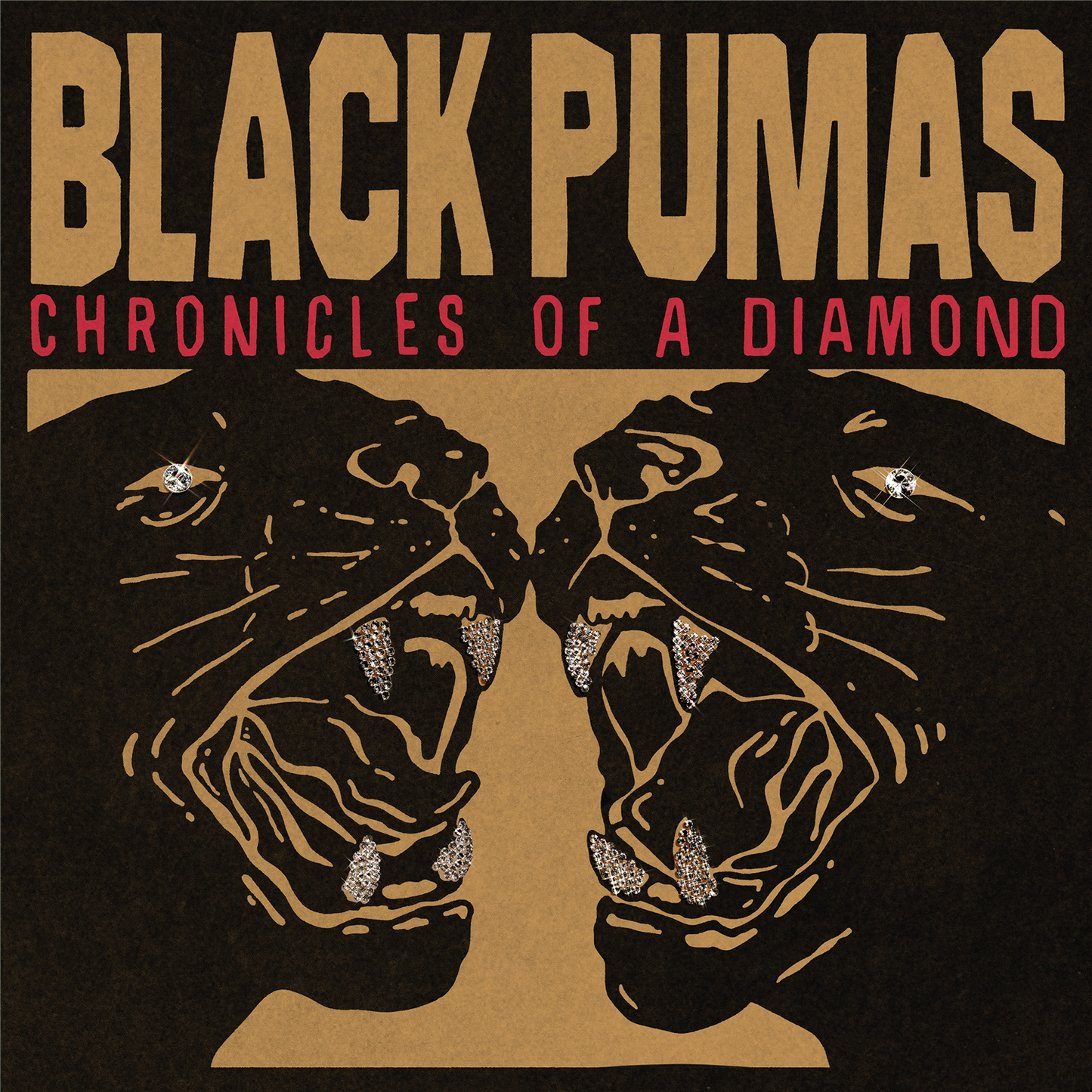 Black Pumas 'Chronicles of a Diamond' LP