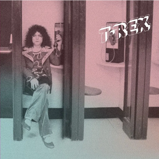 T Rex 'Molly Mouse Dream Talk' LP