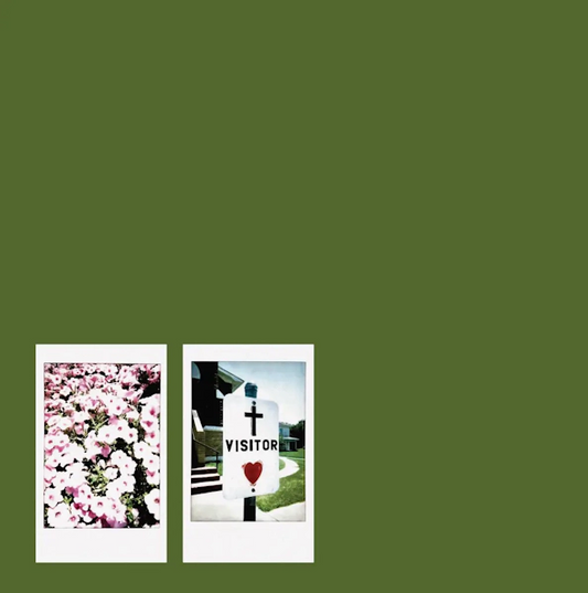 John Moreland 'Visitor' LP