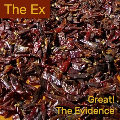 The Ex 'Great! / The Evidence' 7"