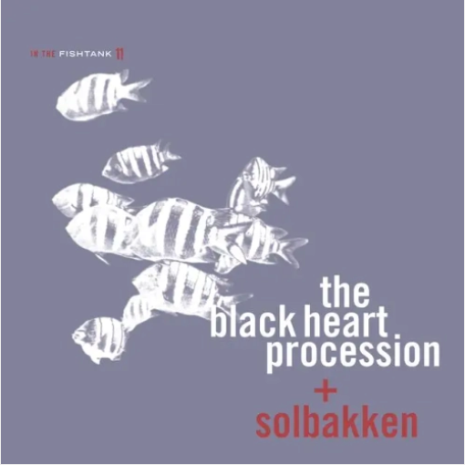 Black Heart Procession & Solbakken 'In The Fishtank' LP