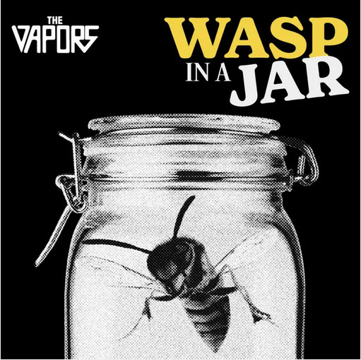 The Vapors 'Wasp in a Jar' LP