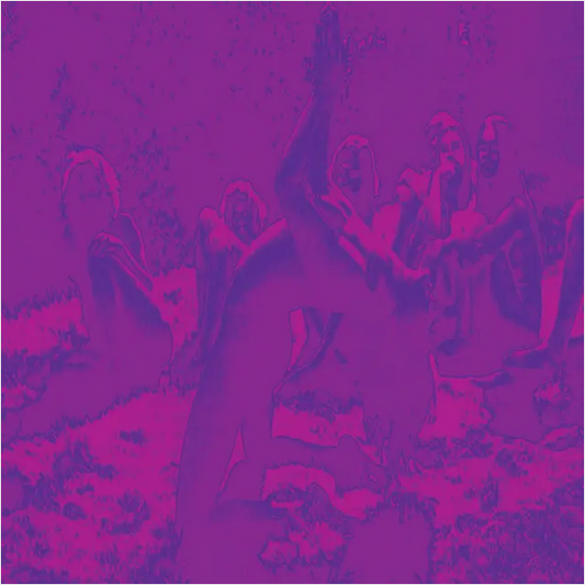 Bardo Pond, Acid Mothers Temple & Guru Guru 'Acid Guru Pond' LP