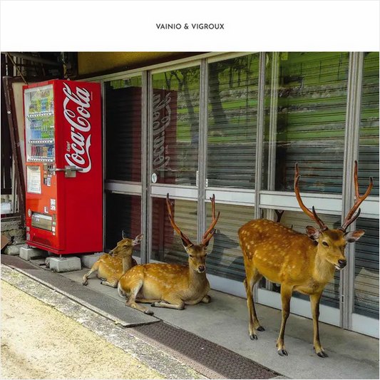 Vainio and Vigroux 'Peau Froide, Leger Soleil' 2xLP