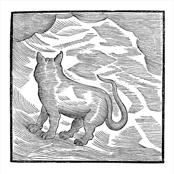 Valentina Magaletti and YPY 'Kansai Bruises' LP