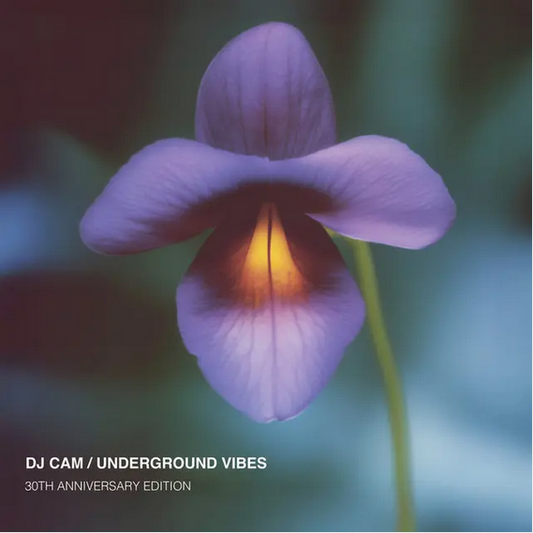 DJ Cam 'Underground Vibes (30th Anniversary)' LP