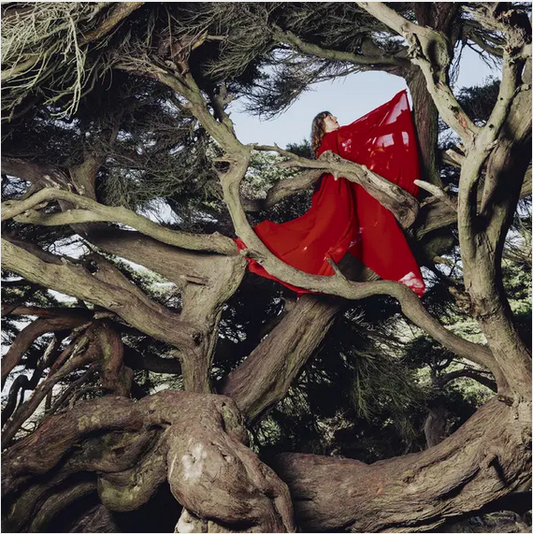 Hannah Frances 'Nested In Tangles' LP