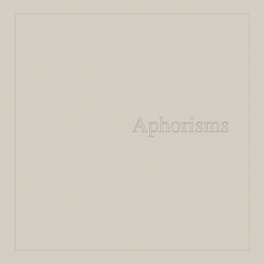 Graham Lambkin 'Aphorisms' 2xLP