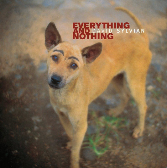 David Sylvian 'Everything & Nothing' 3xLP