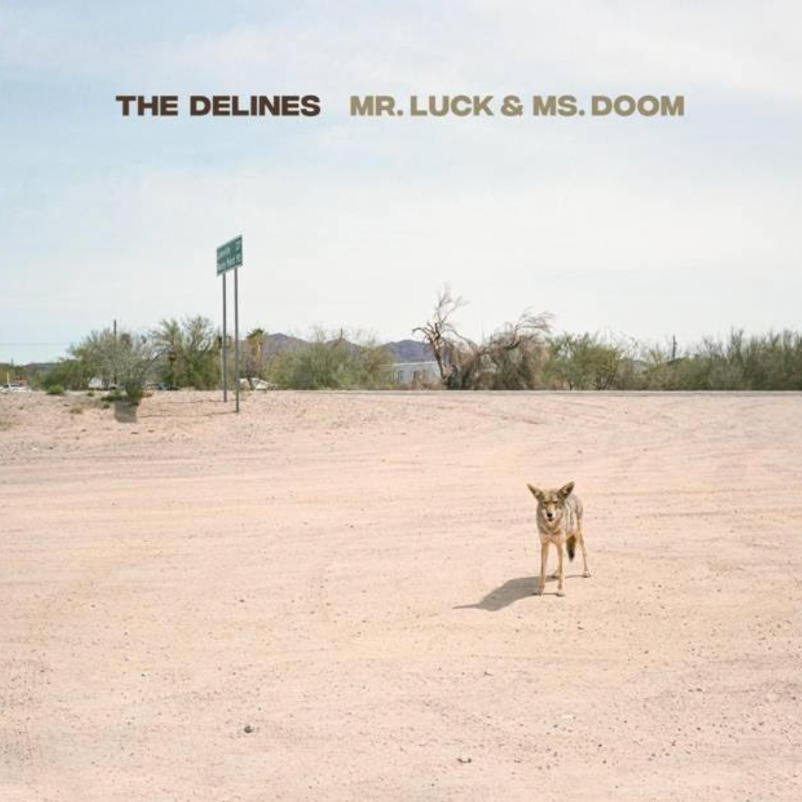 The Delines 'Mr. Luck and Ms. Doom' LP