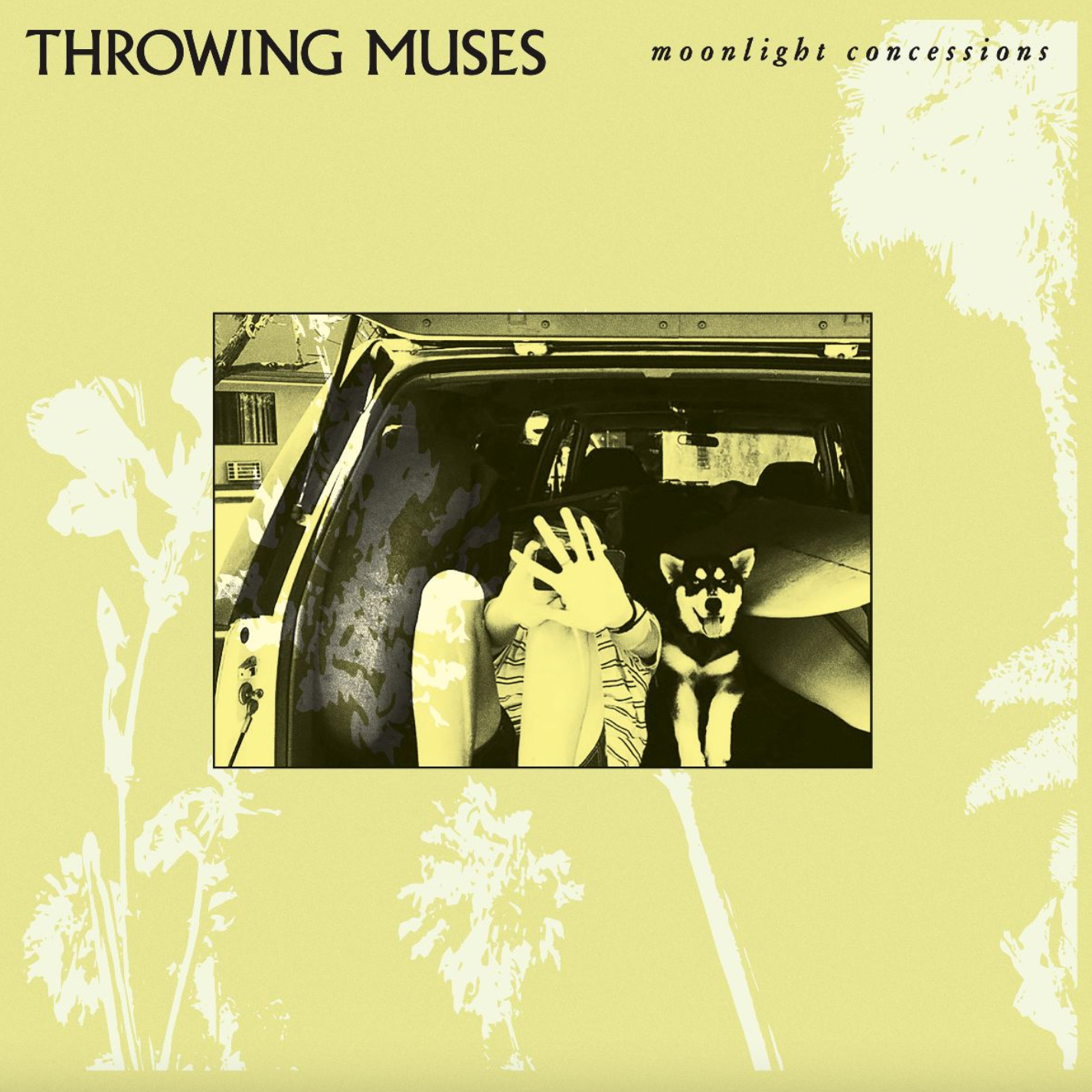 Throwing Muses 'Moonlight Concessions' LP