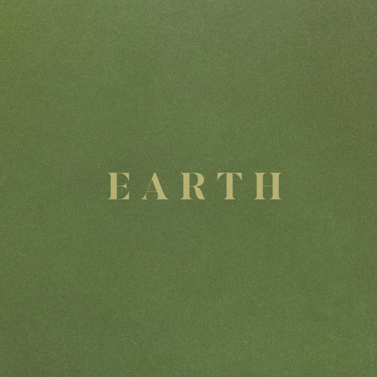 Sault 'Earth' LP