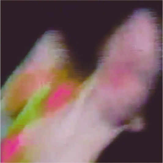 Function 'Existenz' 4xLP