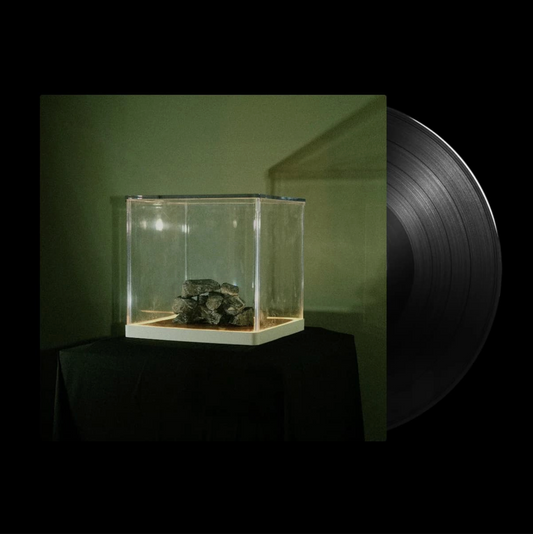 Trá Pháidín 'Cloch 's Claí' LP