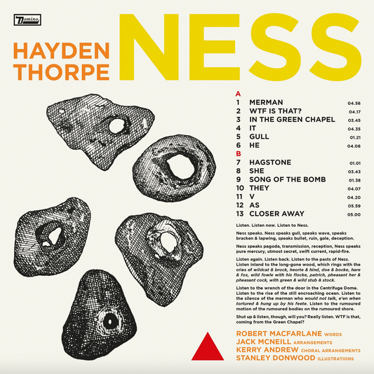 Hayden Thorpe 'Ness' LP