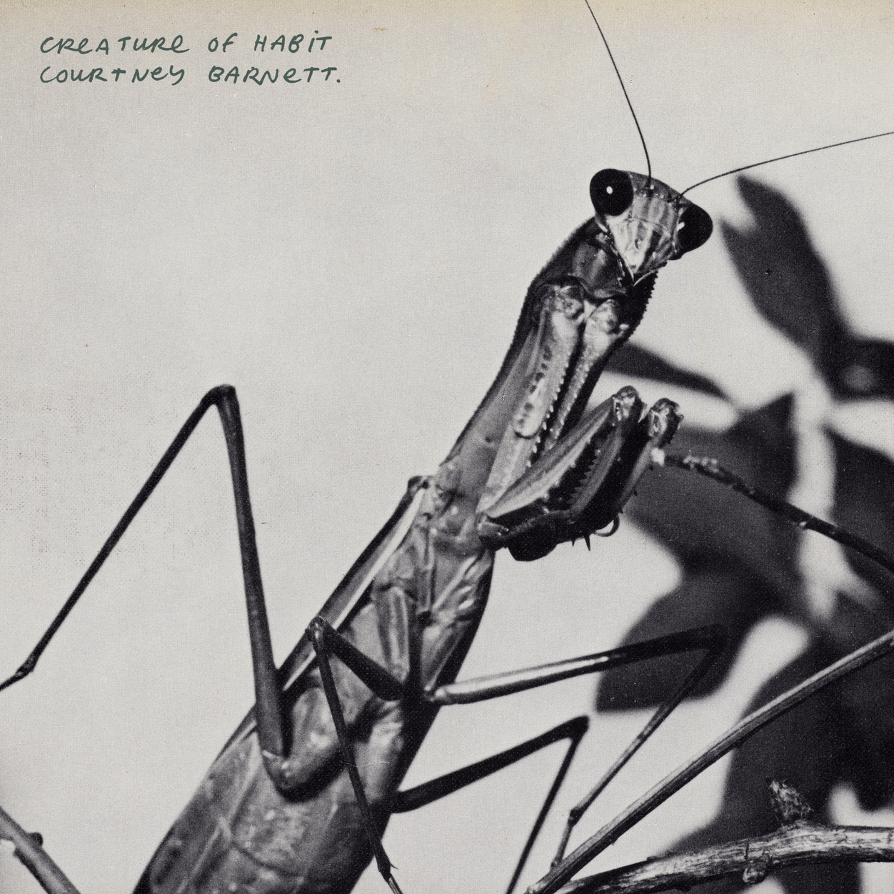 Courtney Barnett 'Creature Of Habit' LP