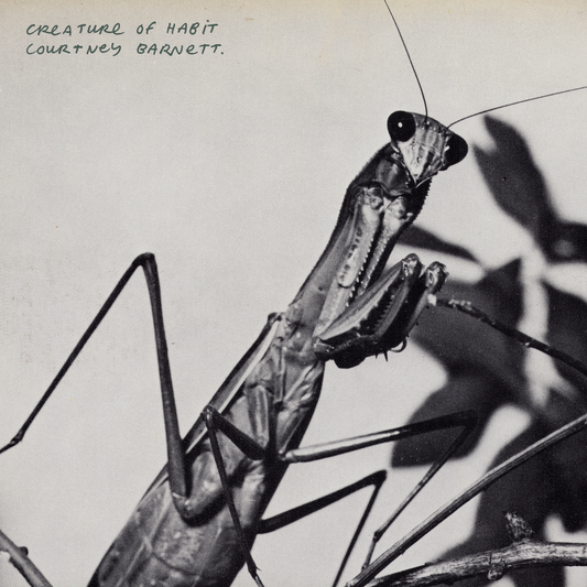 Courtney Barnett 'Creature Of Habit' LP