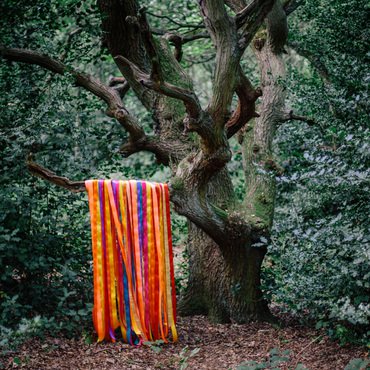 James Holden & The Animal Spirits 'The Animal Spirits' 2xLP