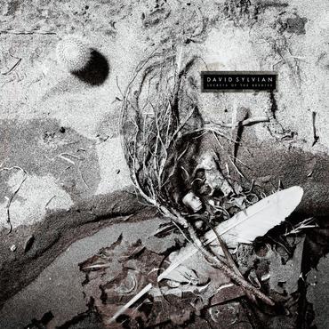 David Sylvian 'Secrets Of The Beehive' LP