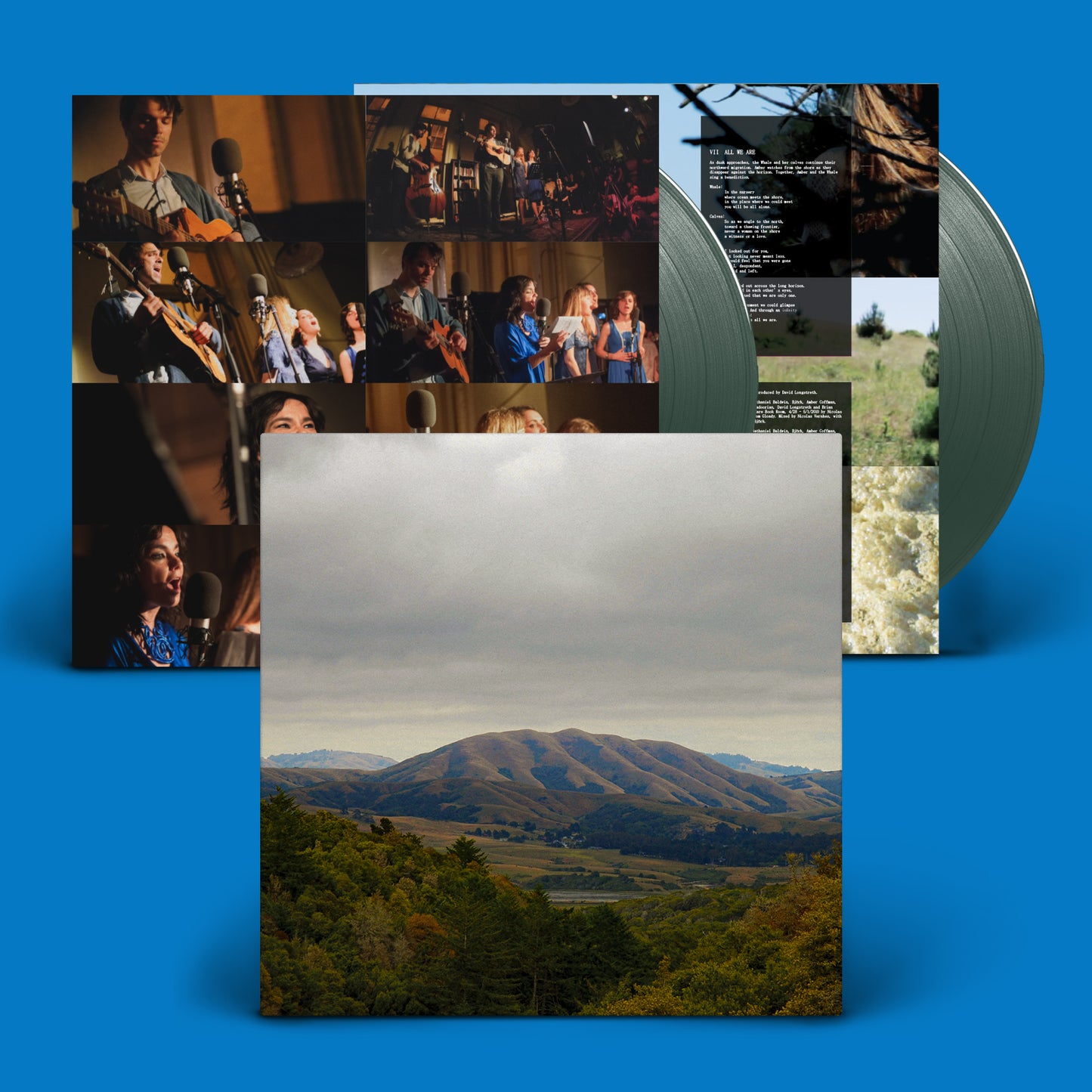 Dirty Projectors & Bjork - Mount Wittenberg Orca 2LP