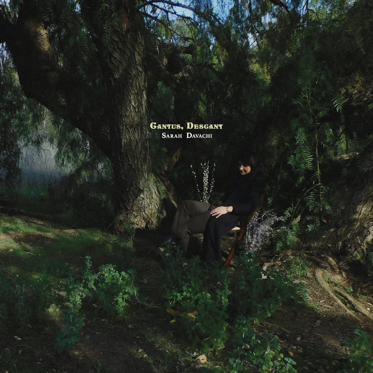 Sarah Davachi ‘Cantus, Descant’ 2xLP