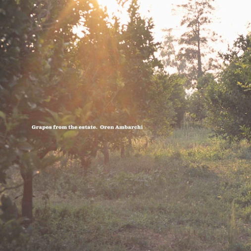 Oren Ambarchi 'Grapes From The Estate' 2xLP