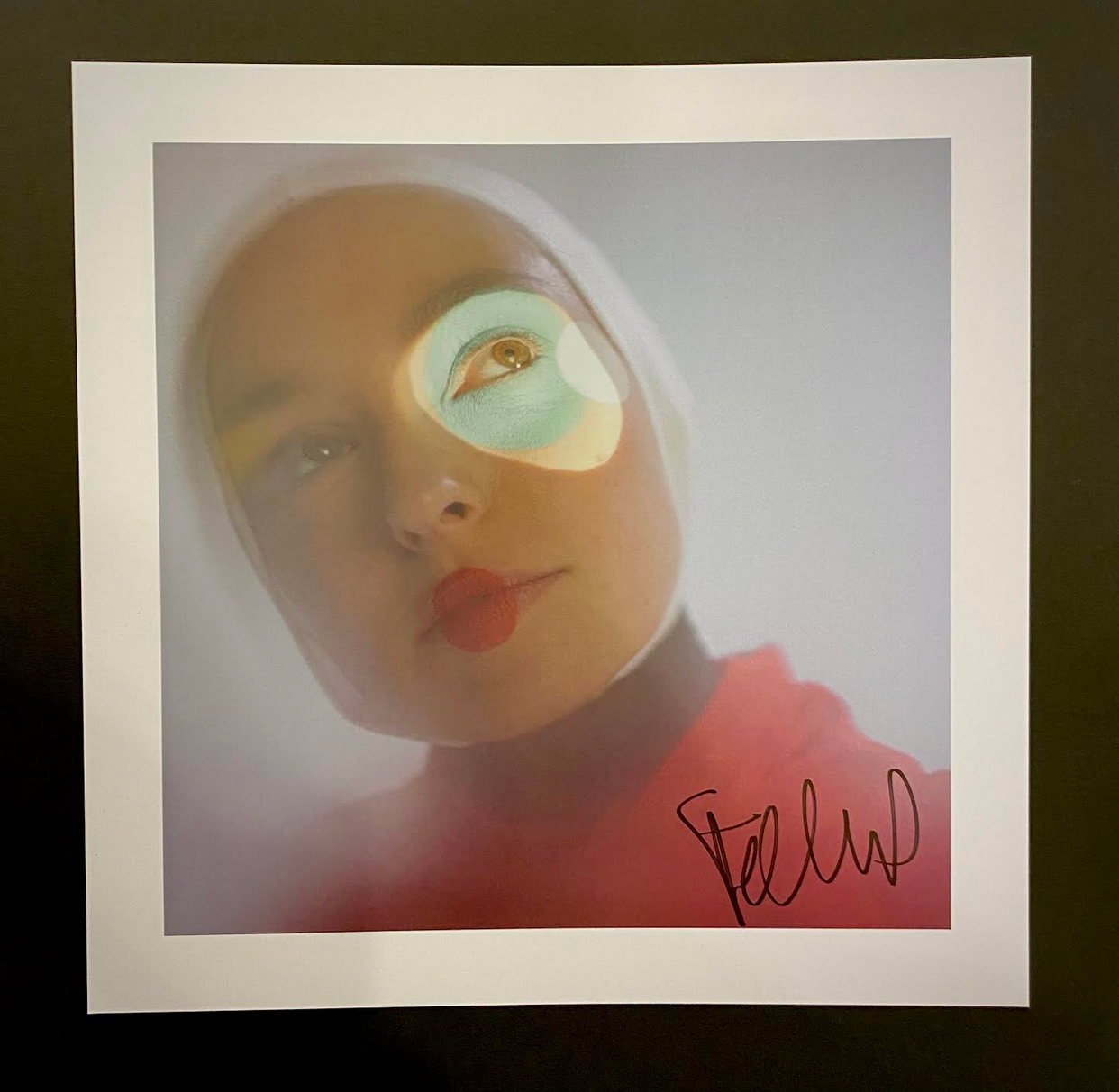 Stella Donnelly 'Flood' LP (W/ *SIGNED PRINT*)