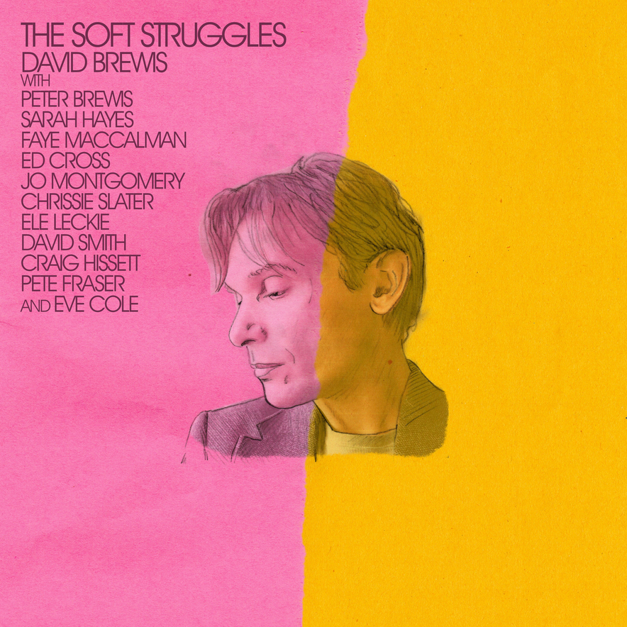 David Brewis 'The Soft Struggles' LP