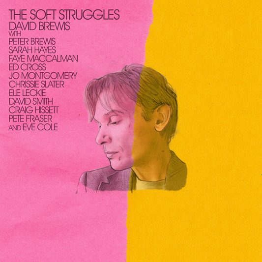 David Brewis 'The Soft Struggles' LP