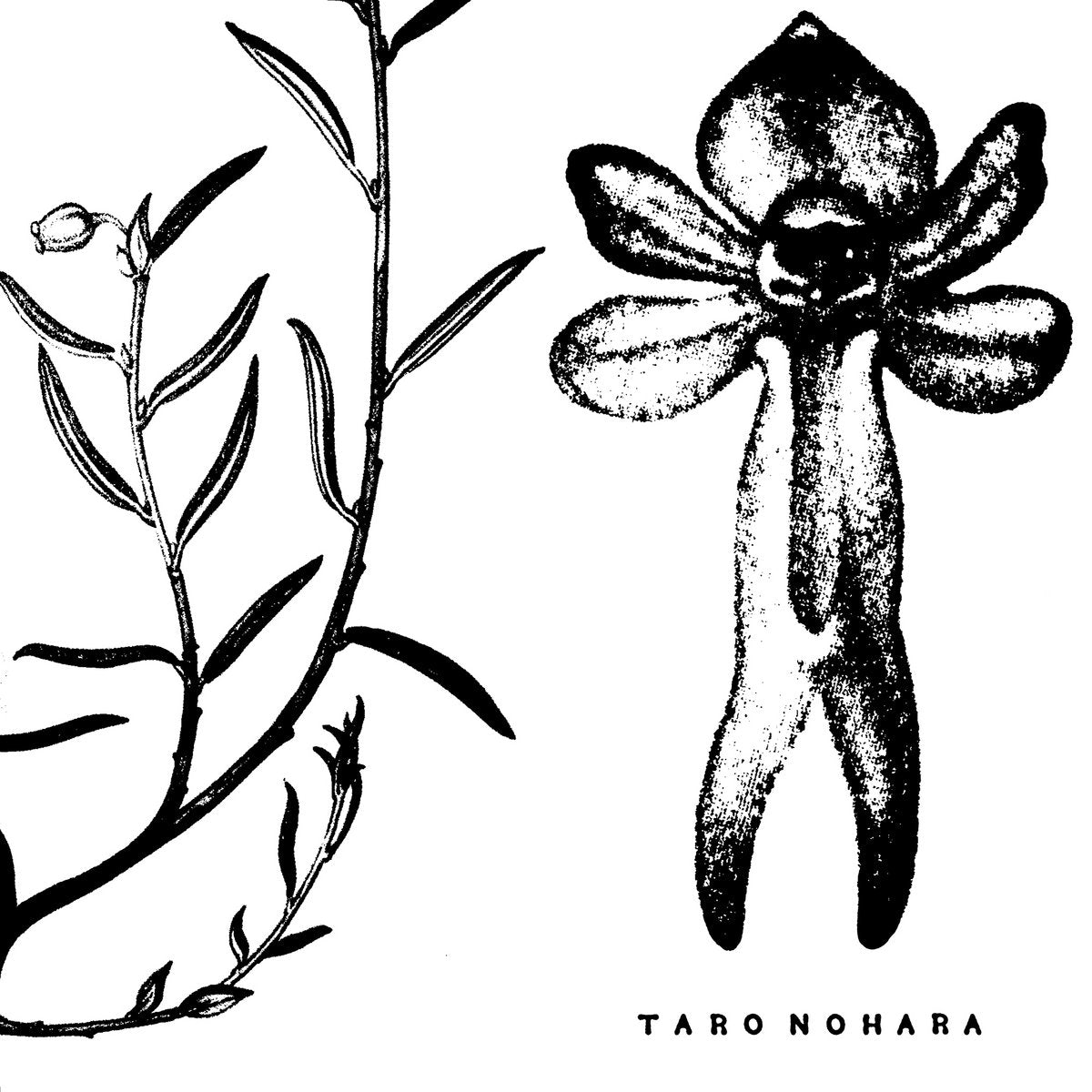 Taro Nohara 'Poly-Time Soundscapes / Forest Of The Shrine' LP