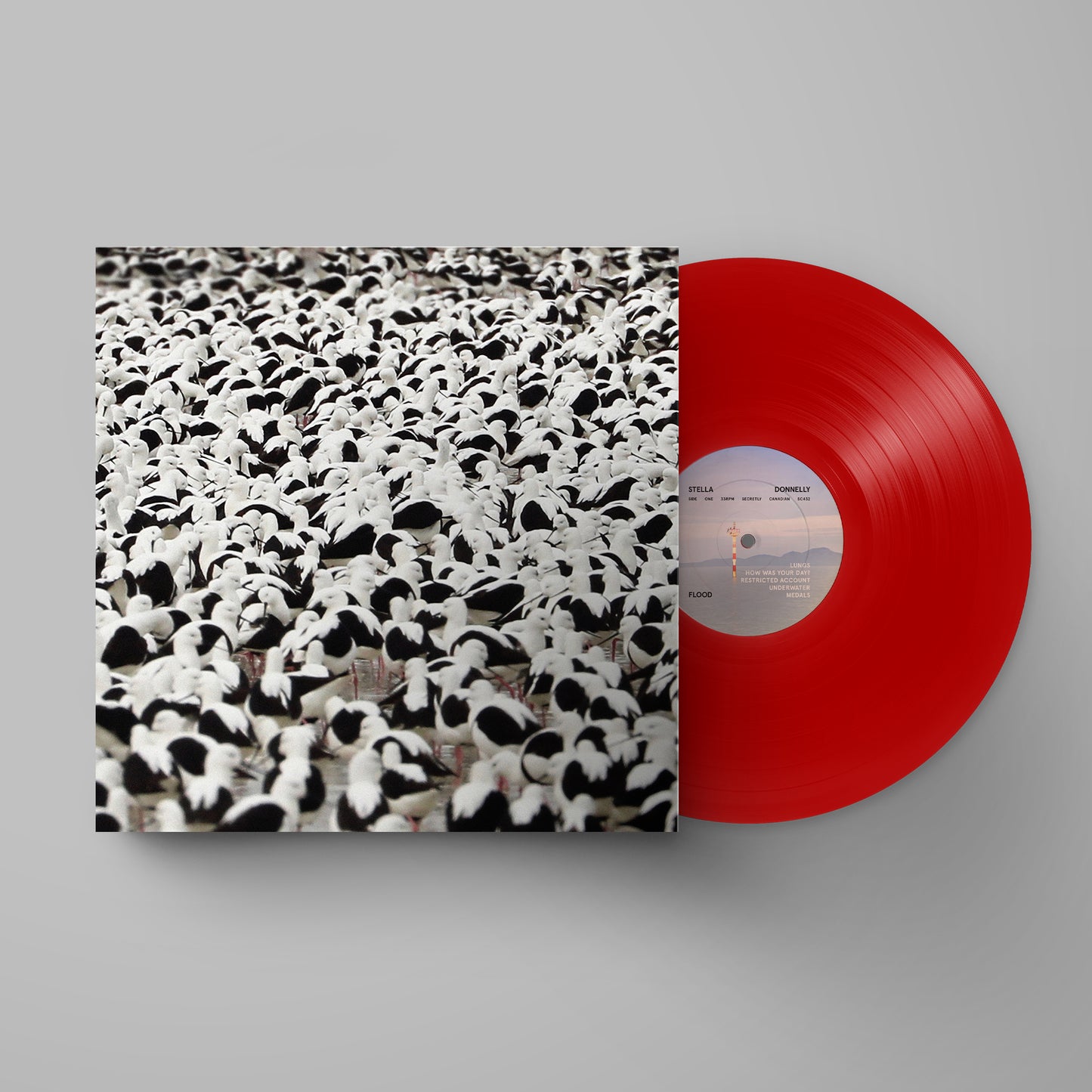 Stella Donnelly 'Flood' LP (W/ *SIGNED PRINT*)